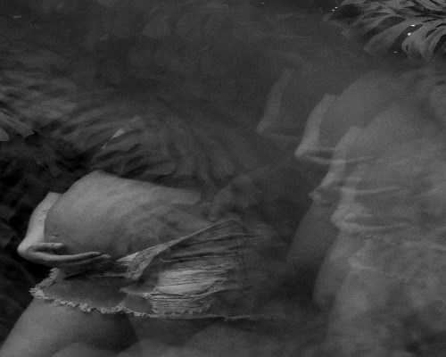 三代试管婴儿费用指南：单人助孕的供卵代怀成本与成功率解析