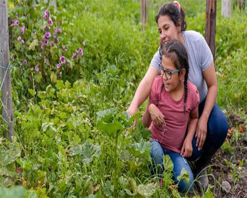 做代生贵吗用微刺激方案吃药后还需要继续打针促排吗?